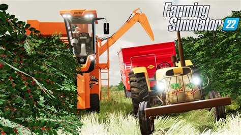 Primeira Venda Da Nossa Colheita De Caf Farming Simulator