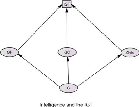 Intelligence And The Igt Gf Variables Wechsler Matrix Reasoning