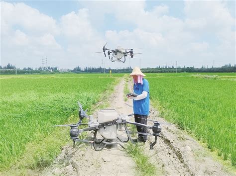 三百余台无人机助力农技下田间 丹阳日报