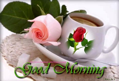 Good Morning Wishes With Tea Pictures Images Page