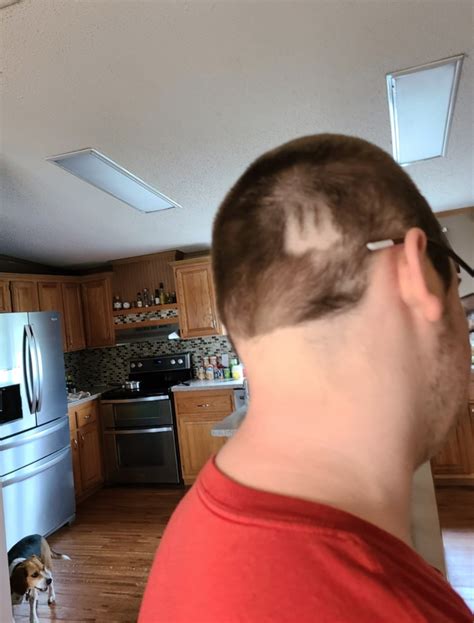 Bwhahahaha The Best Damn Quarantine Haircuts You Have Ever Seen