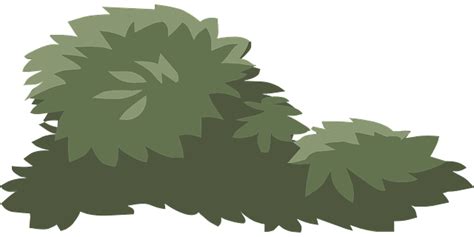 Download Bush Shrub Green Royalty Free Vector Graphic Nature