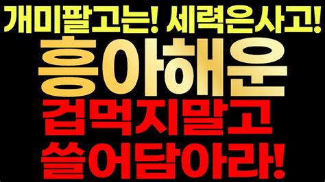 흥아해운🚨 개미는팔고 세력은사고 겁먹지말고 쓸어담으세요 Youtube