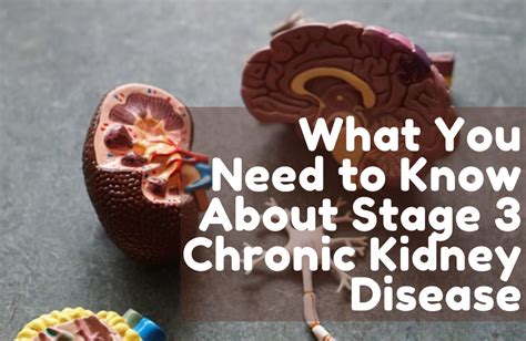 What You Need to Know About Stage 3 Chronic Kidney Disease - Bridge ...