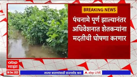 Maharashtra Unseasonal Rain Maharashtra News Update Marathi News Abp