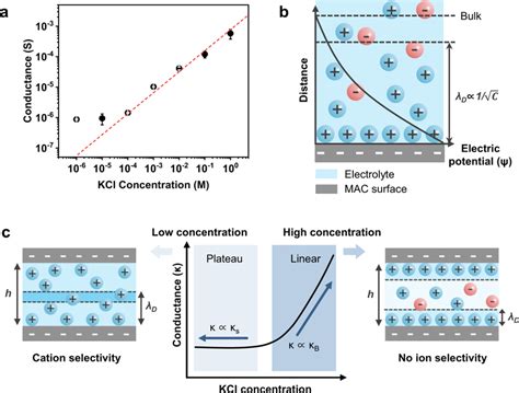 Ion Transport Through The Mac Nanochannel A Ionic Conductance Of The