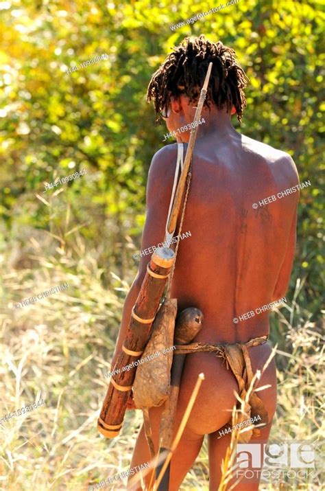 Africa Bushmen Namibia Bow Arrow Clan Hunter Hunter Gatherer