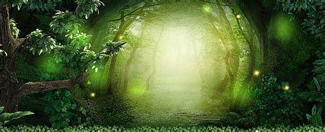 Free Green, Forest, Plant Background Images, Natural Photo Background ...