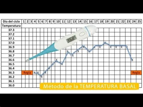 M Todo De La Temperatura Basal Para Quedar Embarazada R Pidamente