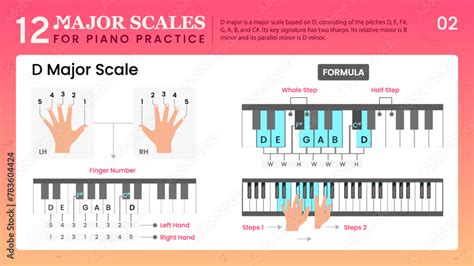 D Major Scale Visual Guide Essential Music Theory for Piano Stock Vector | Adobe Stock