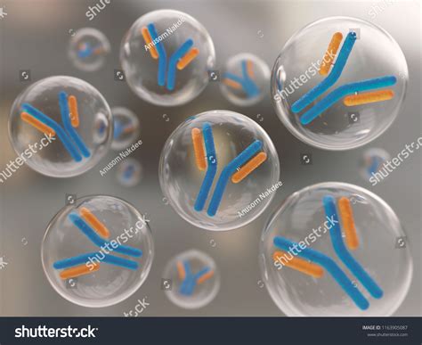 2,989 Immunoglobulin Images, Stock Photos & Vectors | Shutterstock