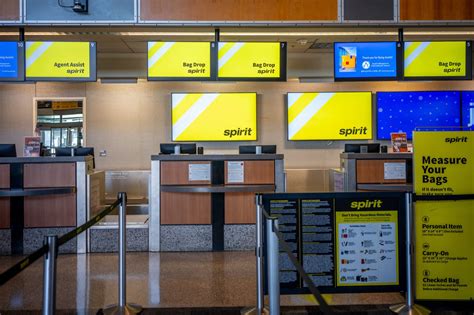 Raccoon Falls From Laguardia Airport Ceiling At Spirit Ai