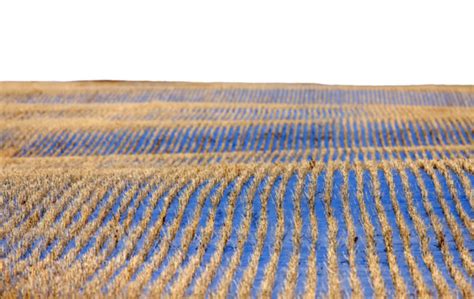 Prairie Landscape Png Transparent Images Free Download Vector Files
