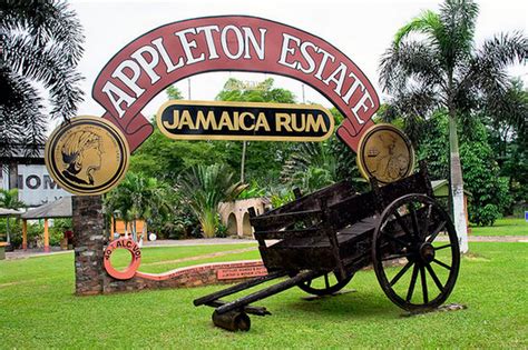 Appleton Estate Rum Factory Experience Trip Ways