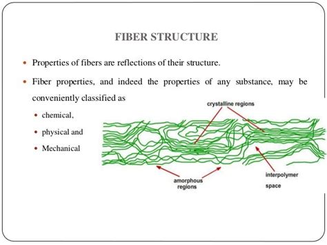 Fiber structure theories