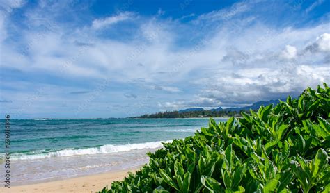 Gorgeous Tropical Island Beach in Hawaii Stock Photo | Adobe Stock