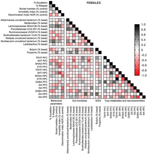 Frontiers Sex Specific Effects Of Synbiotic Exposure In Mice On
