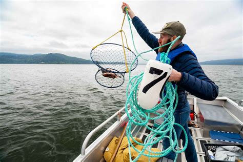 5 Best Crabbing Spots At The Oregon Coast And Crabbing Guide