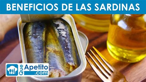 Propiedades Y Beneficios De Las Sardinas Queapetito Youtube