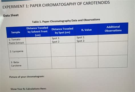 Sample Table 1 Paper Chromatography Data And Chegg