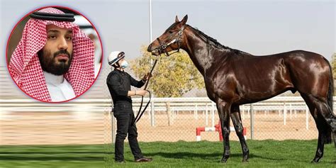 Saudi Arabia To Hold Most Expensive Horse Race In The World