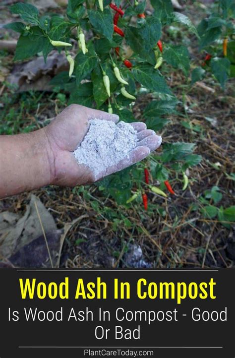 Answer: Wood Ash In Compost - Good Or Bad