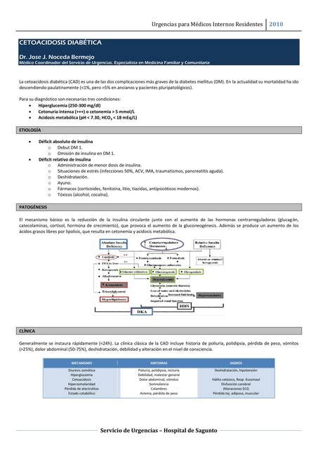 Cetoacidosis Diab Tica Diana Jaramillo Udocz