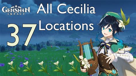 Genshin Impact L All Cecilia Locations YouTube