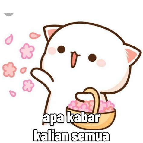 peach cat unyu  septi