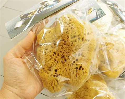 Морская губка Fina Silk для тела, натуральная, 12-13 см, Греция ...