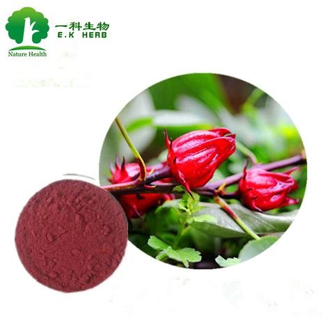 E K Herb Factory Supply Organic Roselle Extract Natural Colorant