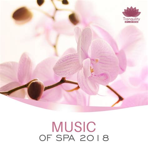 Relax After Long Day Song And Lyrics By Tranquility Spa Universe