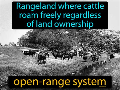 Open Range System Definition Image Gamesmartz