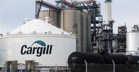 Cargill Anuncia Abertura De Novo Processo Seletivo Mais De