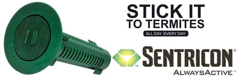 Sentricon Always Active Termite Baits Termite Control In Inala And Cam