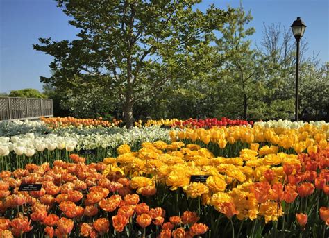 Minnesota Landscape Arboretum | A Traveling Gardener