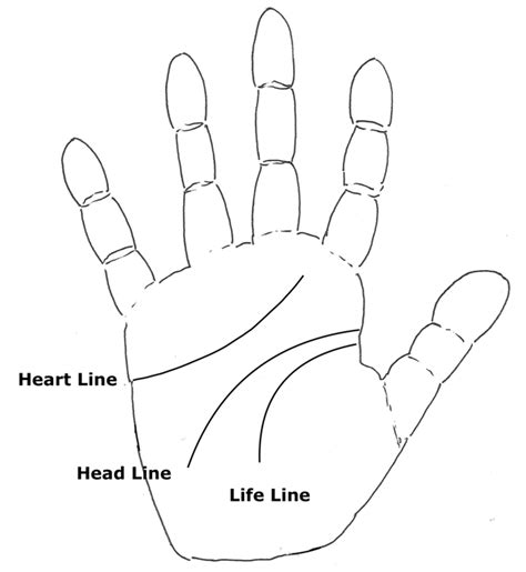 Unveiling The Significance Of The Major Lines In Your Hands American Academy Of Hand Analysis