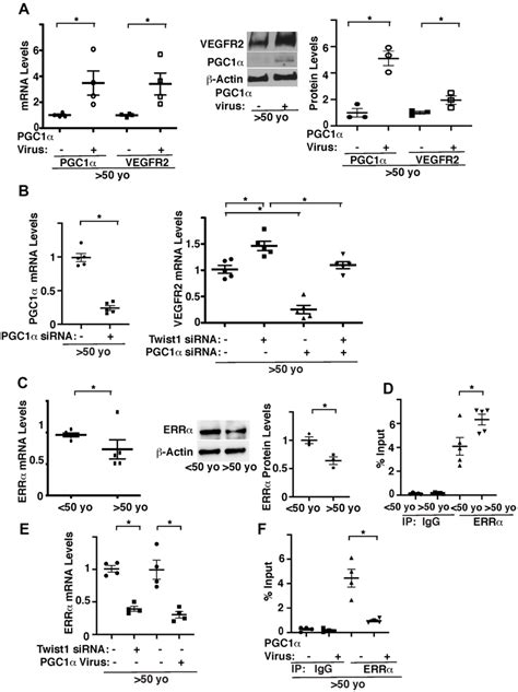 Twist1 Controls Age Dependent Decline In Vegfr2 Expression Through