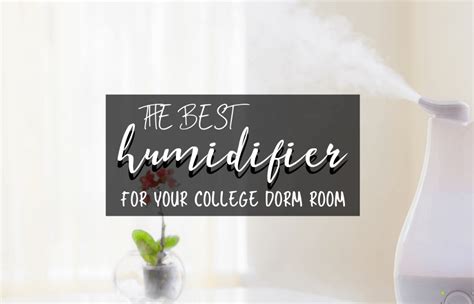 Best Humidifiers For College Dorms Tun