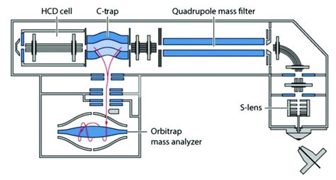 Schematic Of The Q Exactive Tm A Hybrid Quadrupole Orbitrap Mass