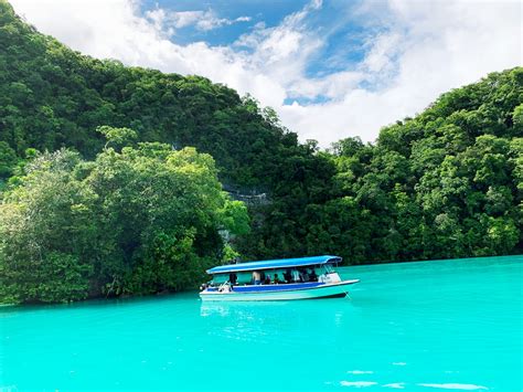 パラオの絶景・ベストフード・ホテルまとめ【パラオ旅行取材】 Tabipponet