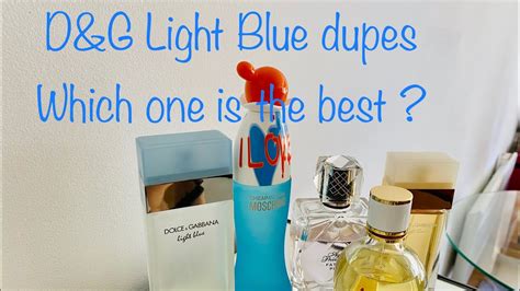 D G Light Blue Dupes Comparison Which One Is The Best Youtube