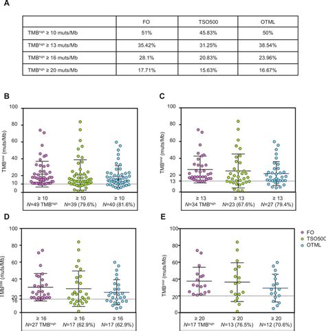 Tumor Mutational Burden Assessment In Non Small Cell Lung Cancer