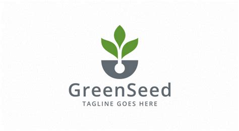 Green Seed Logo Logos And Graphics