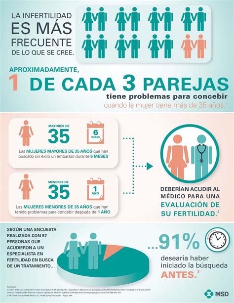 Infografia Fertilidad Infertilidad Parejas Reproduccion Asistida