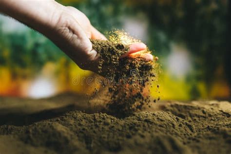 Hands Hard At Work In The Soil Close Up Of Farmer Hands Holding A