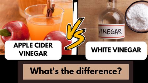 Apple Cider Vinegar Vs White Vinegar What S The Difference