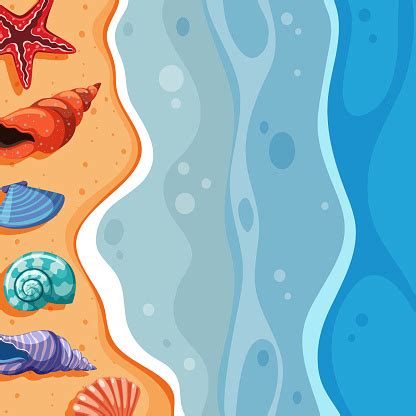 adegan latar belakang  kerang  pantai ilustrasi stok