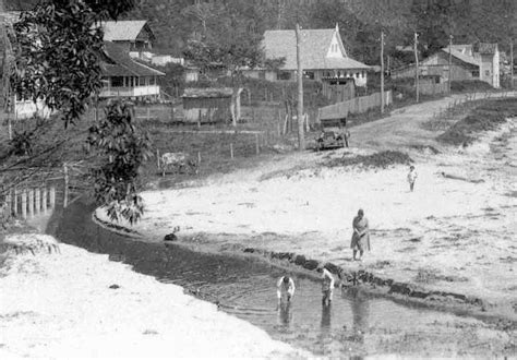 CLUBE DOS ENTAS ITAJAI FOTOS ANTIGAS DE CABEÇUDAS XVIII