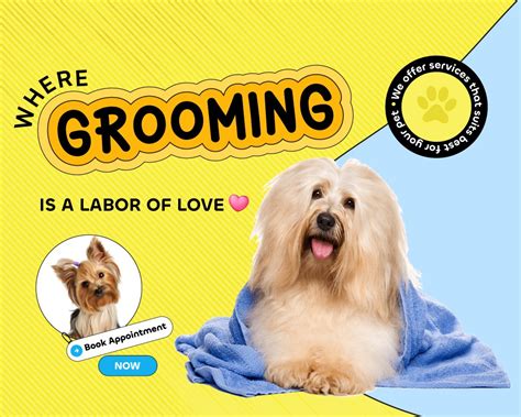 OH MY PET Grooming – At Home Services